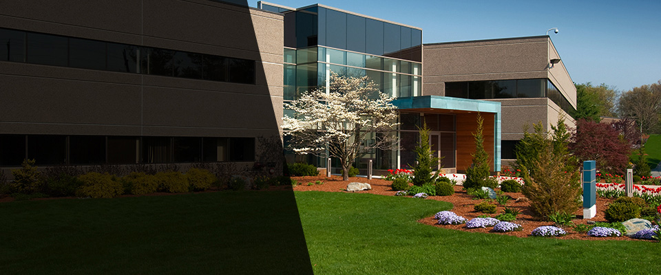 Sullivan City Landscapers