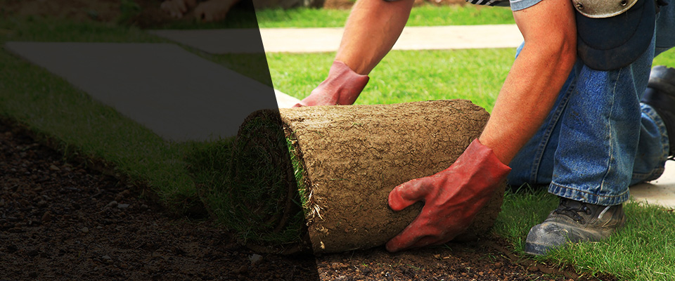 Sullivan City Landscapers
